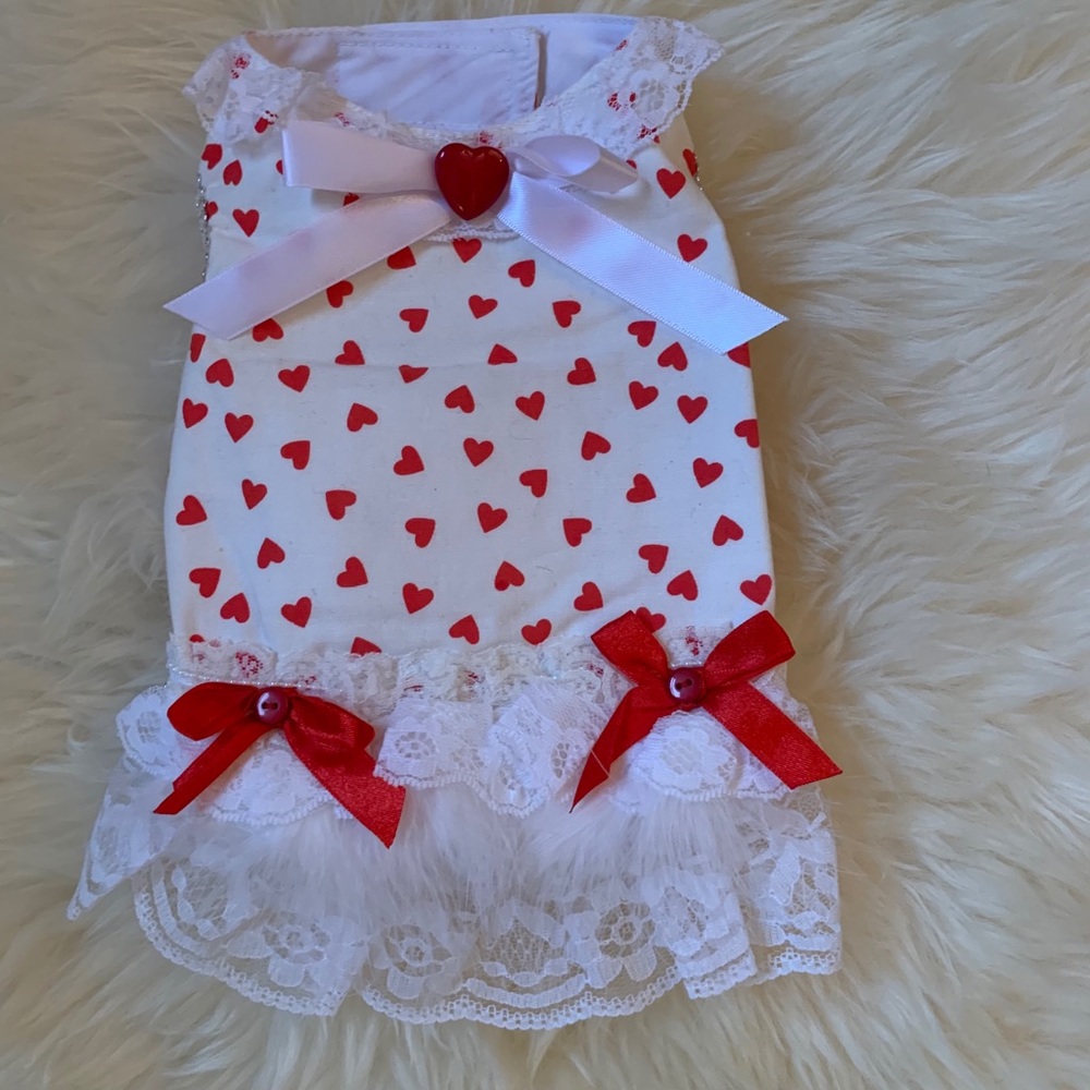 Valentine’s dog dress